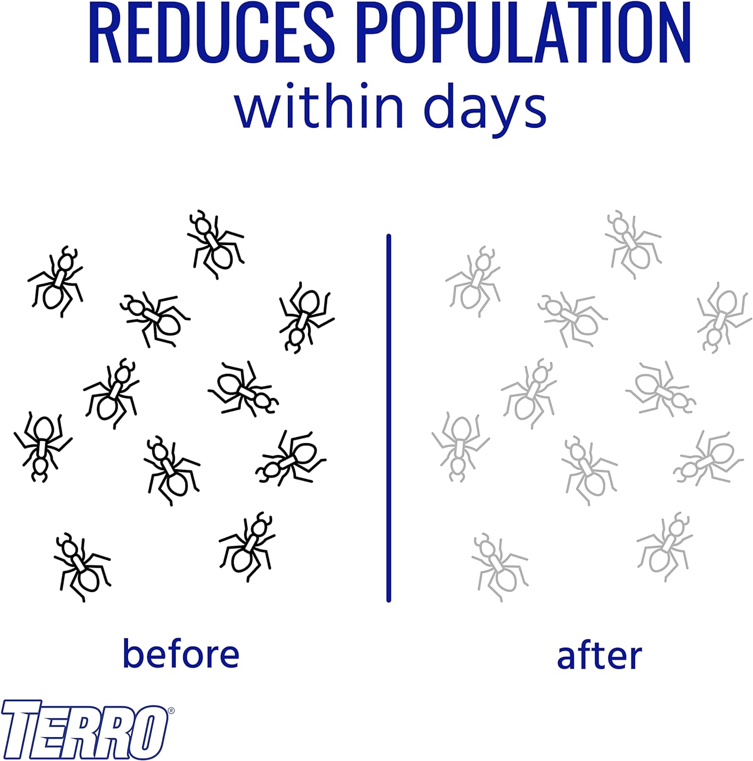 TERRO T300B Liquid Ant Killer, 12 Bait Stations - Image 6